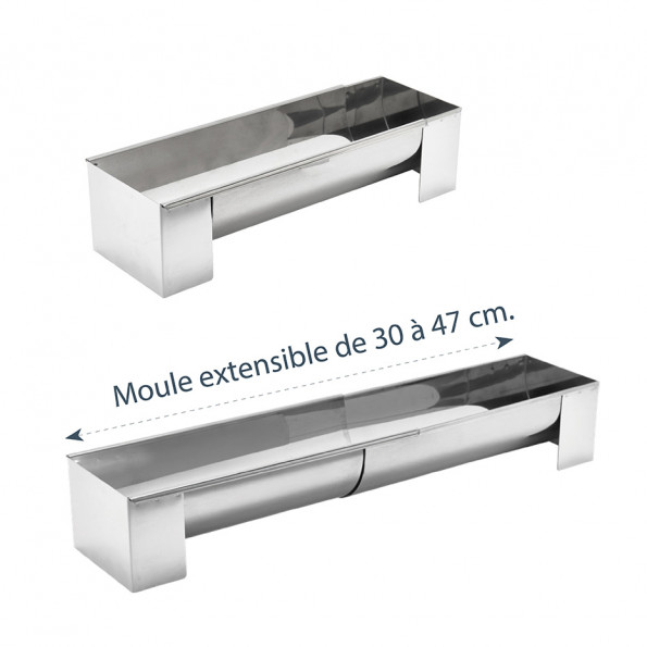 Kit moule à bûche avec insert9674