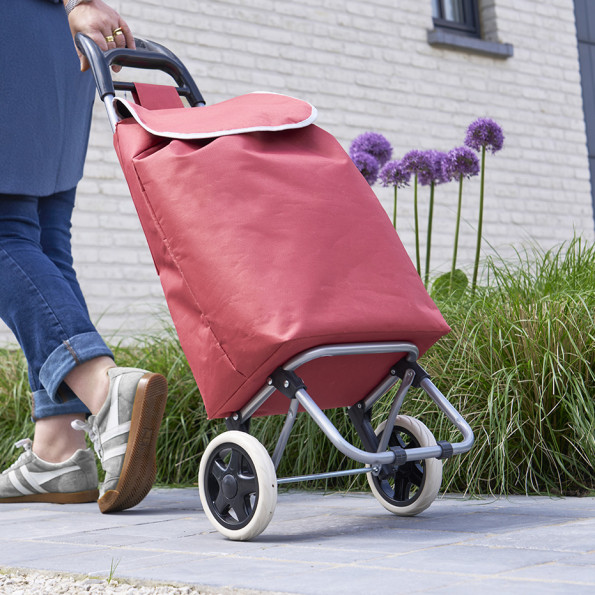 Chariot de courses avec 2 sacs interchangeables9682